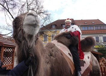 Tříkrálový průvod Berounem